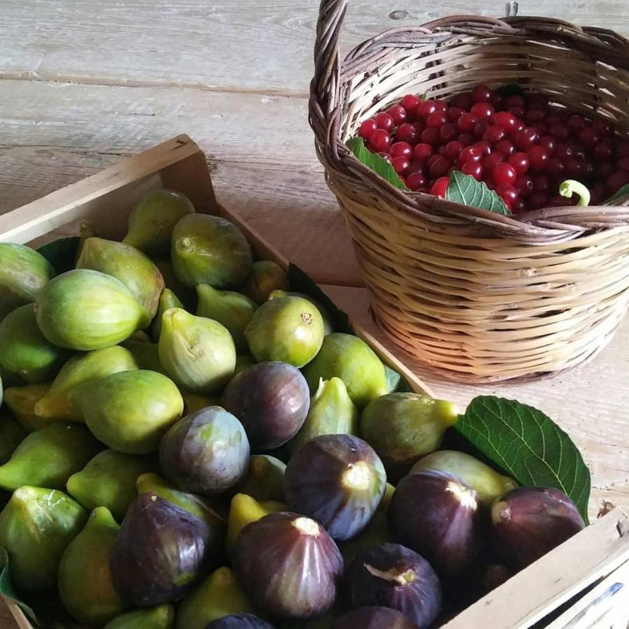 Masseria Celano 그로타글리에 외부 사진